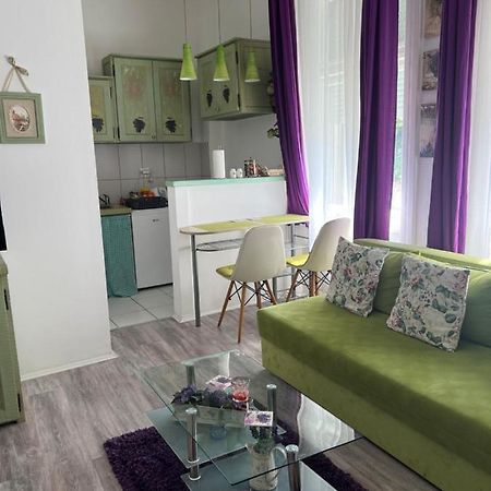 Center Cosy Vintage Apartment Novi Sad Bagian luar foto