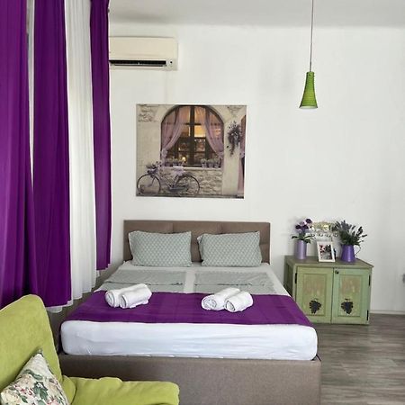 Center Cosy Vintage Apartment Novi Sad Bagian luar foto