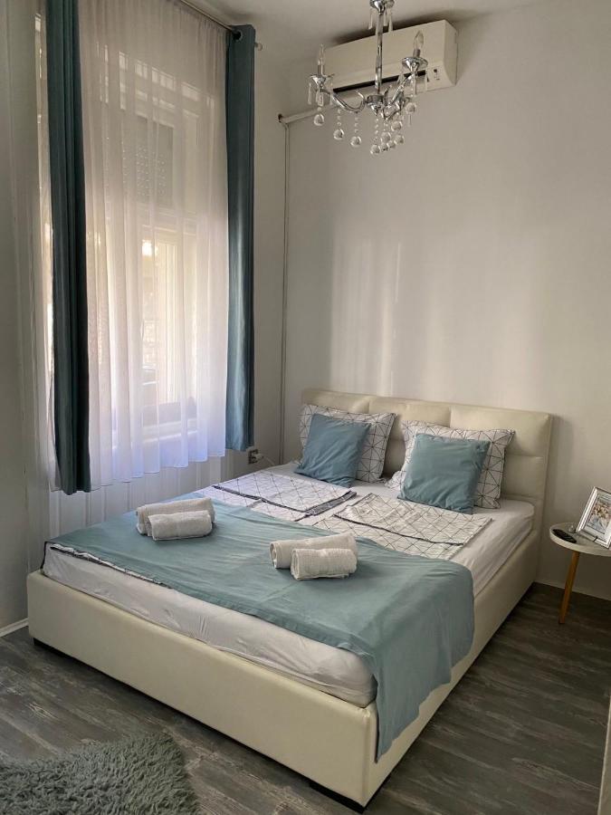Center Cosy Vintage Apartment Novi Sad Bagian luar foto
