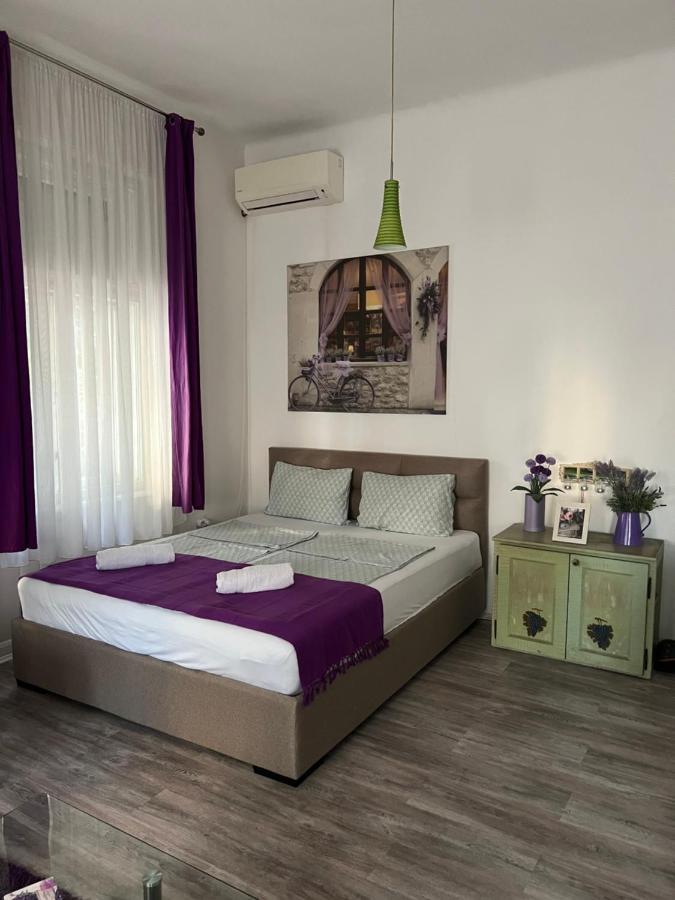 Center Cosy Vintage Apartment Novi Sad Bagian luar foto