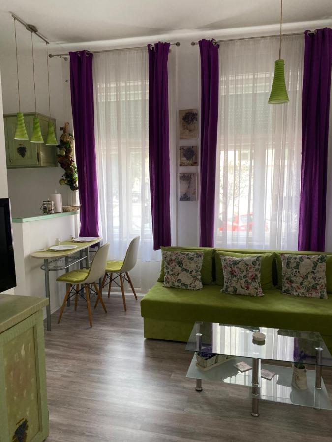 Center Cosy Vintage Apartment Novi Sad Bagian luar foto