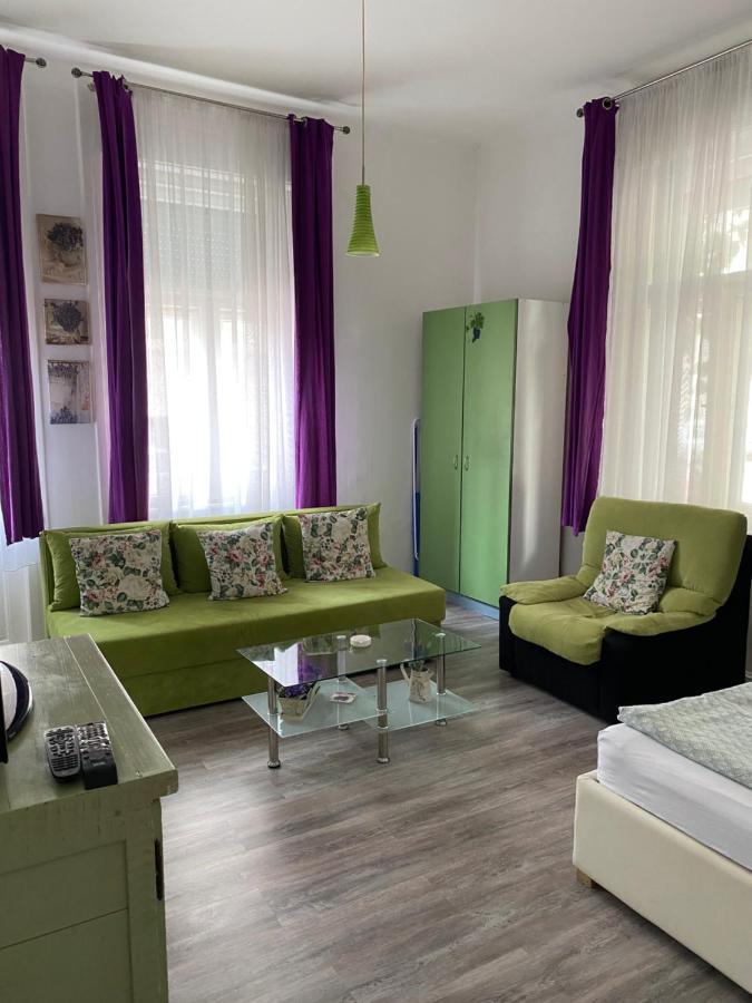 Center Cosy Vintage Apartment Novi Sad Bagian luar foto