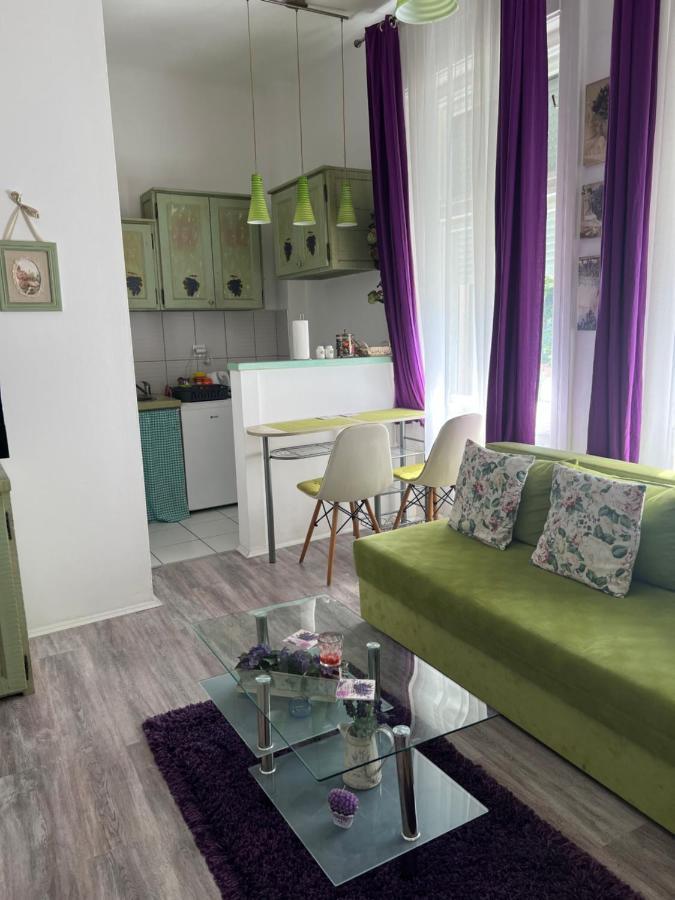 Center Cosy Vintage Apartment Novi Sad Bagian luar foto